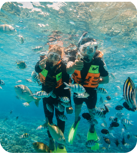 Snorkeling Trip