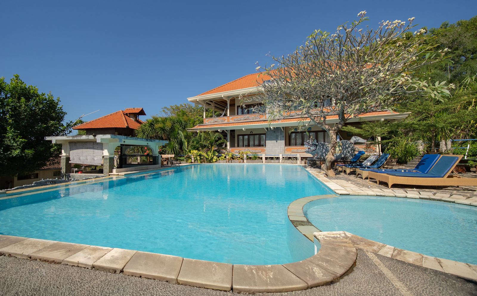 Amed Café & Hotel Kebun Wayan pool and villa, Amed, Bali